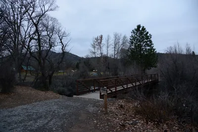 DSC_0971 (Large).JPG